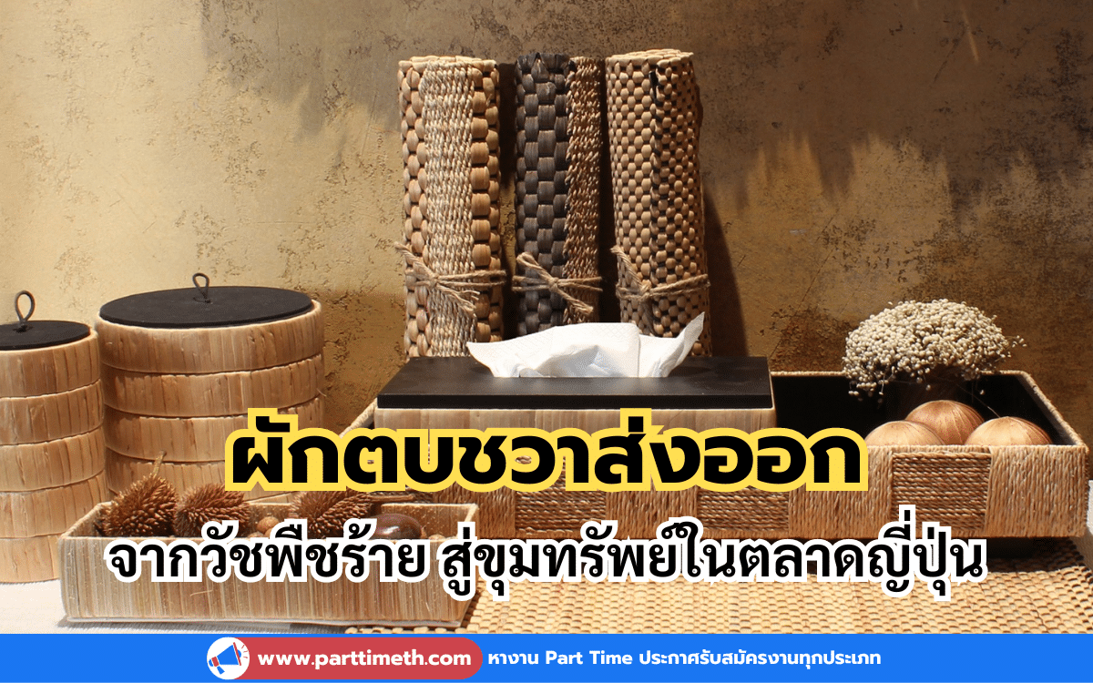 ผักตบชวาส่งออกวัชพืชร้าย สู่ขุมทรัพย์ในตลาดญี่ปุ่น