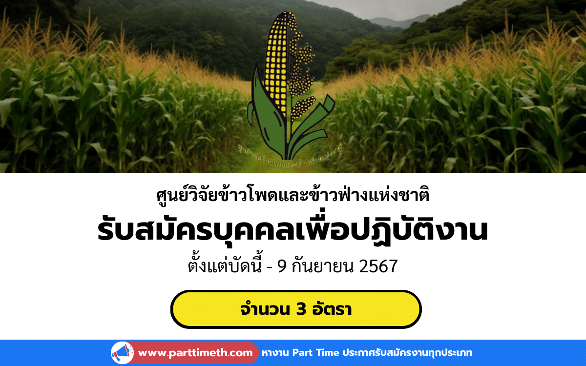 [งานราชการ] รับสมัครบุคคลเพื่อปฏิบัติงาน ศูนย์วิจัยข้าวโพดและข้าวฟ่างแห่งชาติ 3 อัตรา